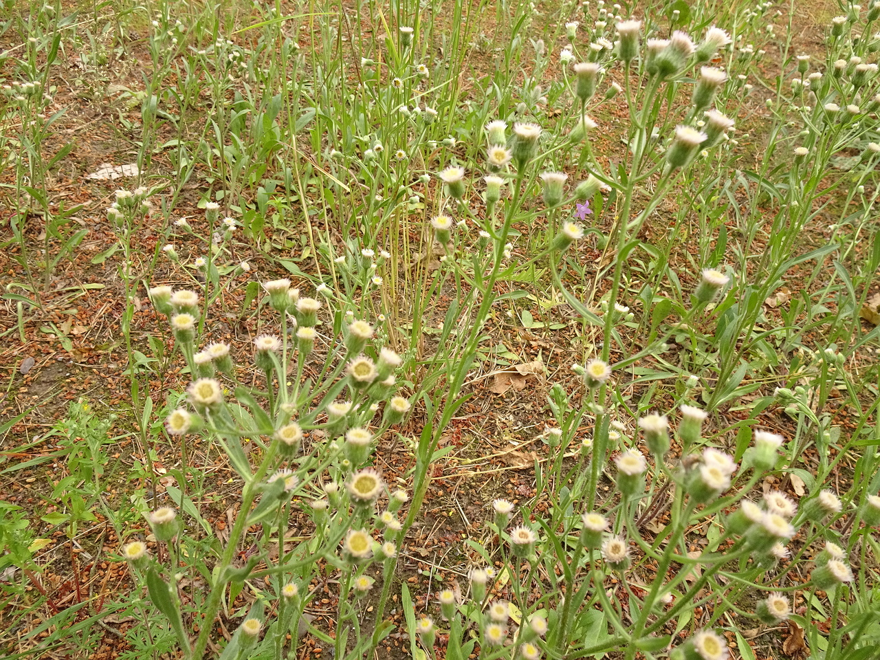 DSC04569