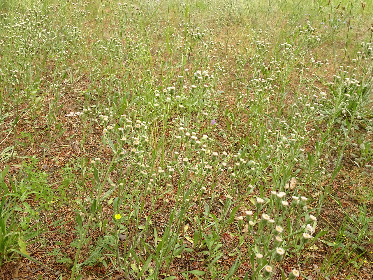 DSC04570