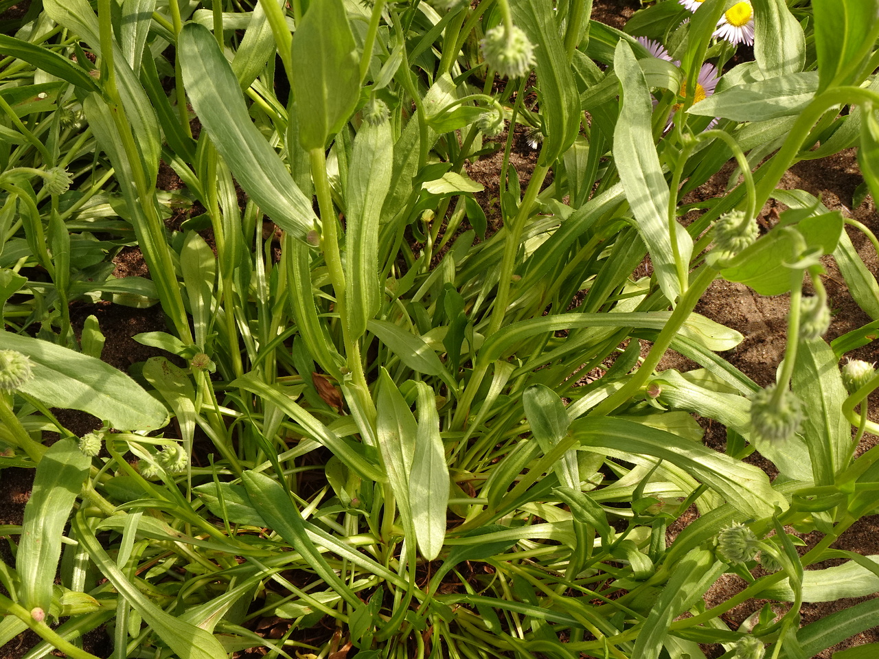 DSC04258