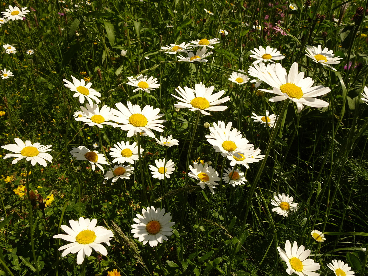 DSC01851