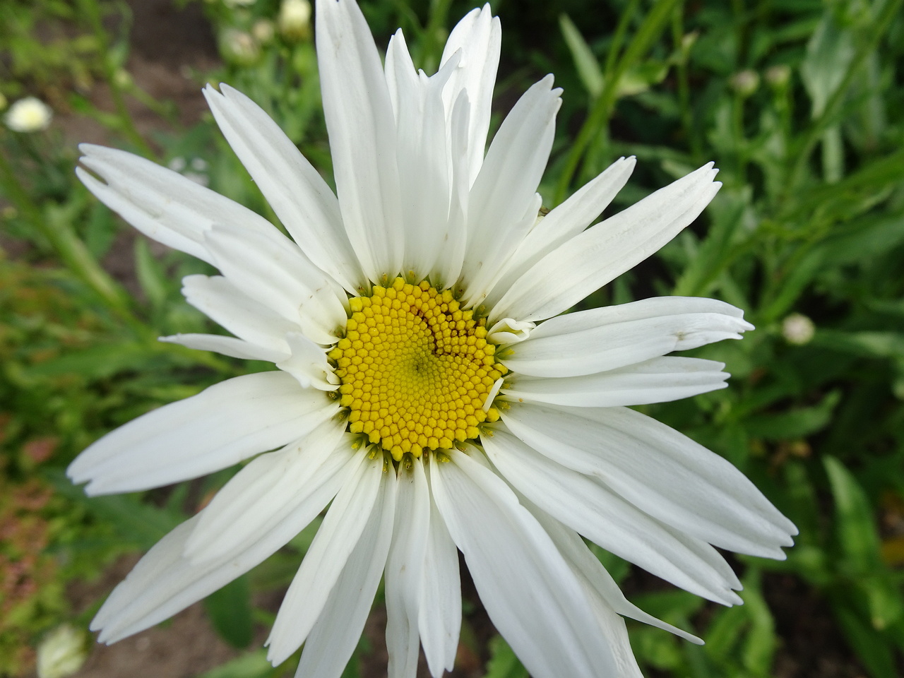 DSC09205