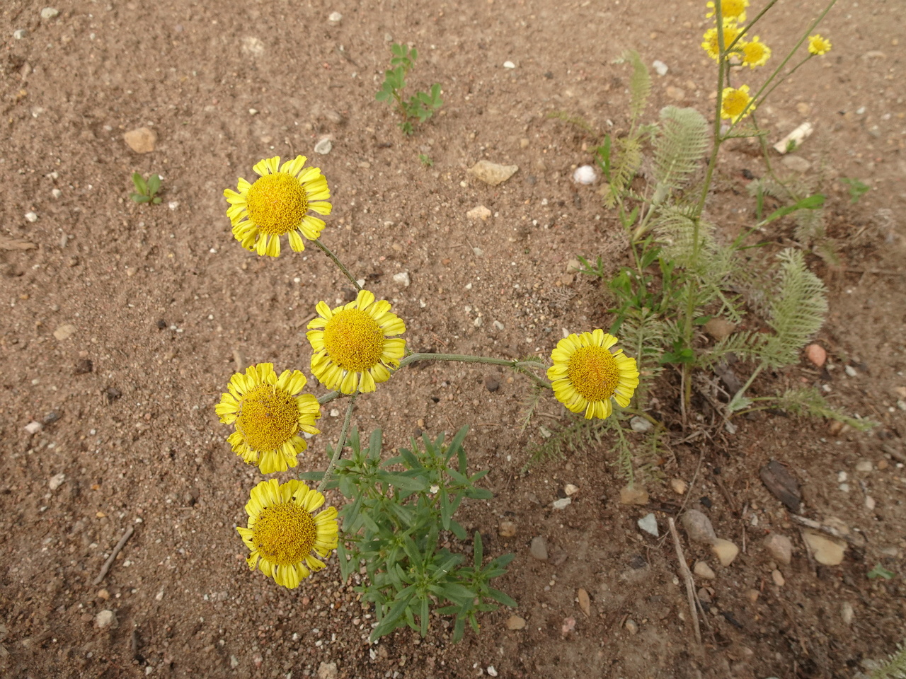 DSC04297