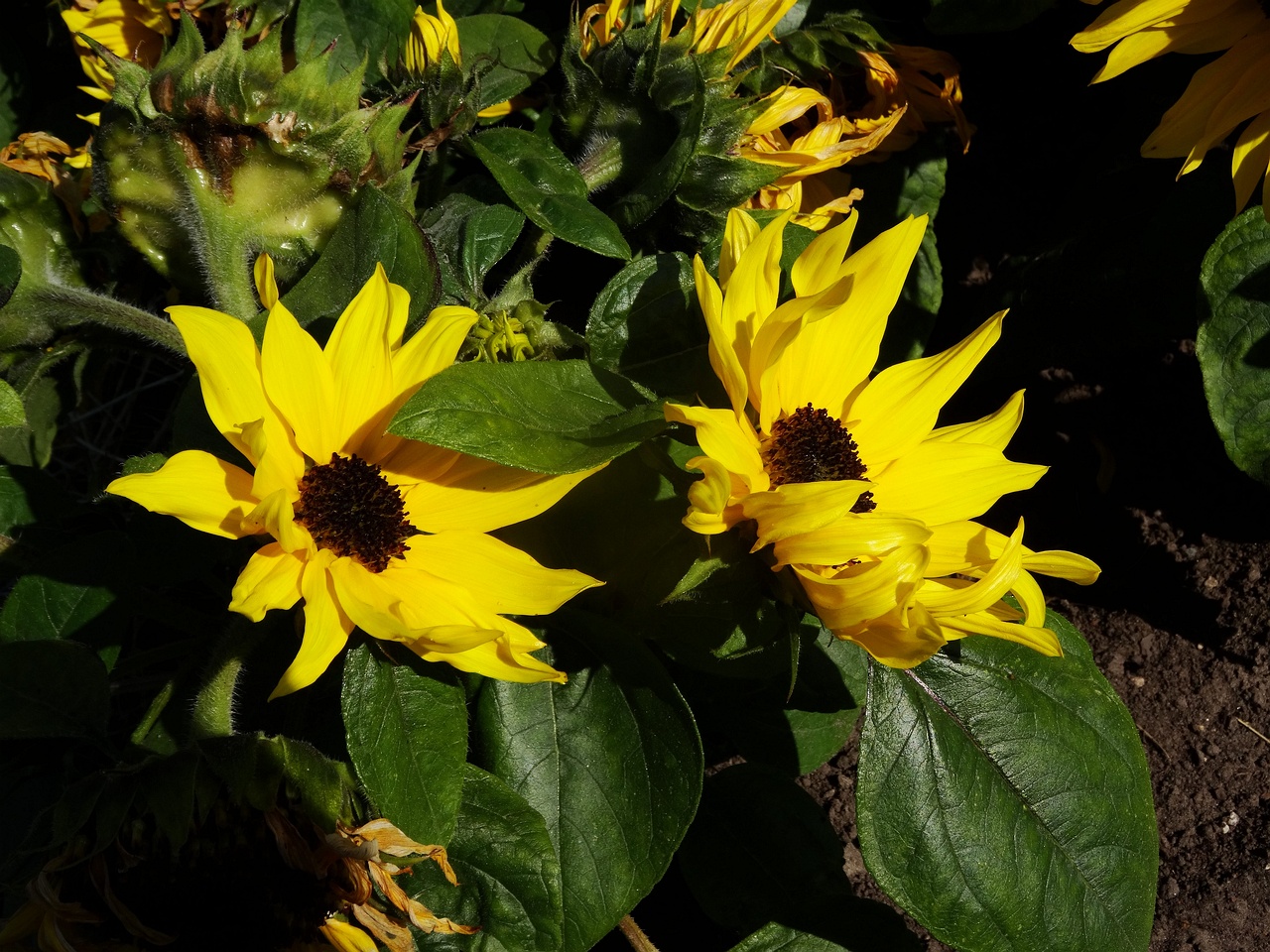 DSC02098