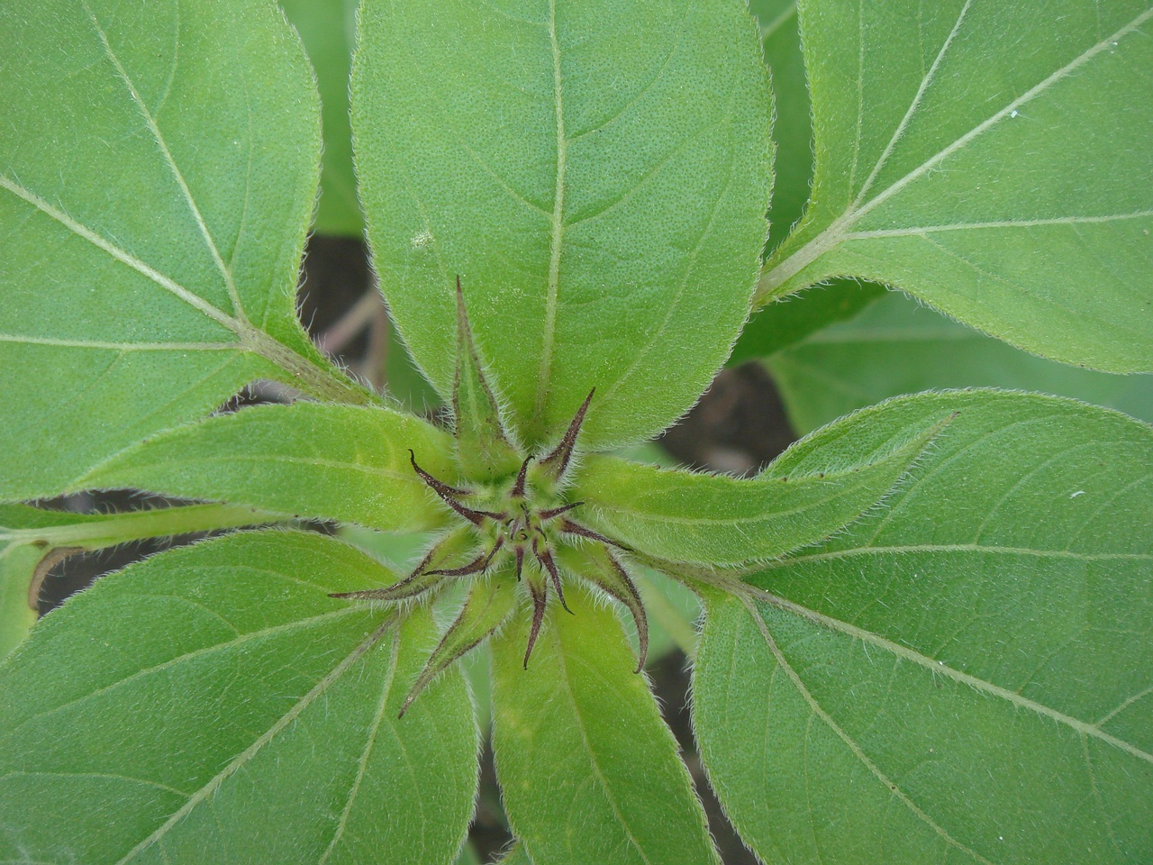 DSC07183