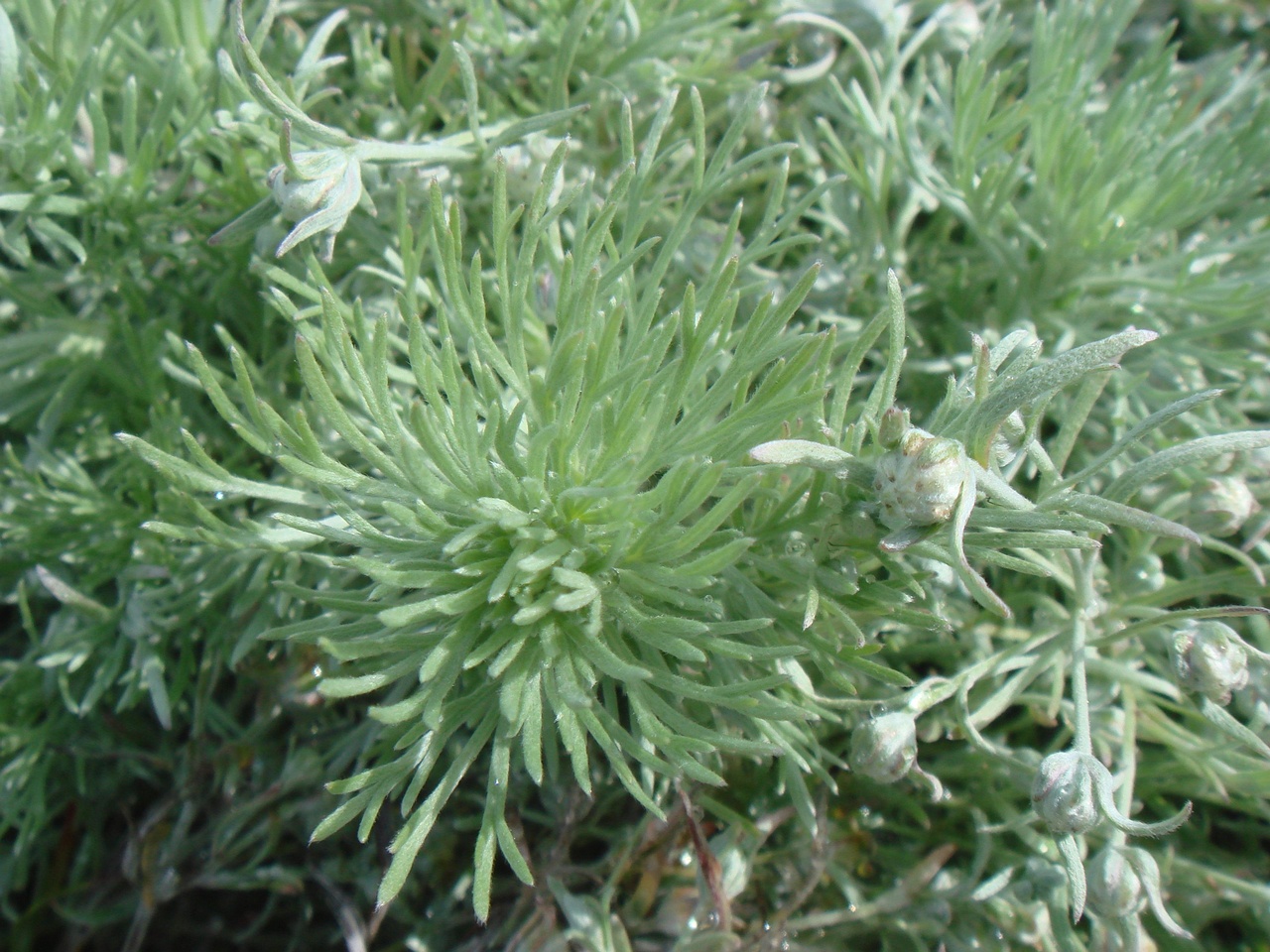 DSC09841