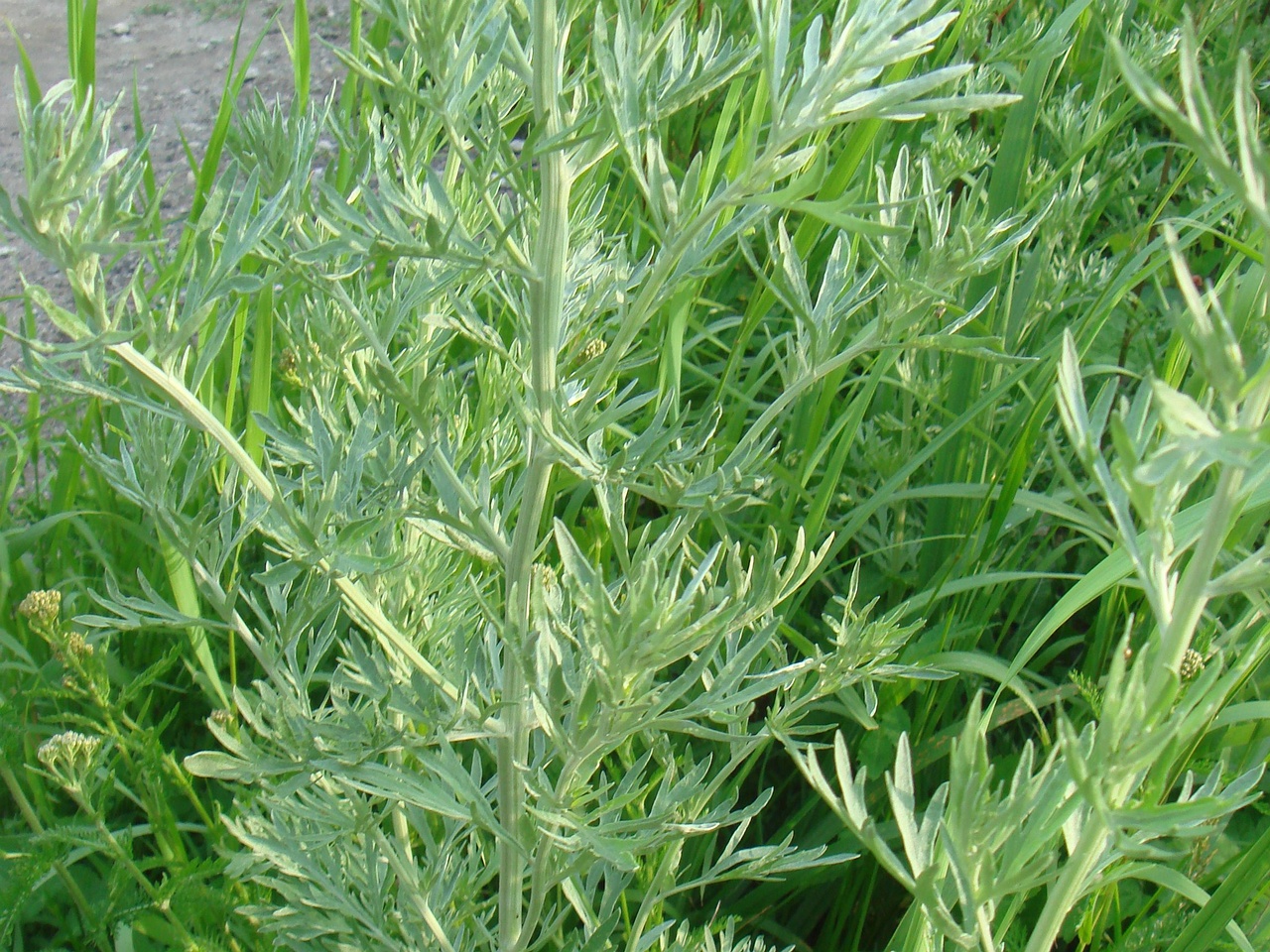 DSC08058