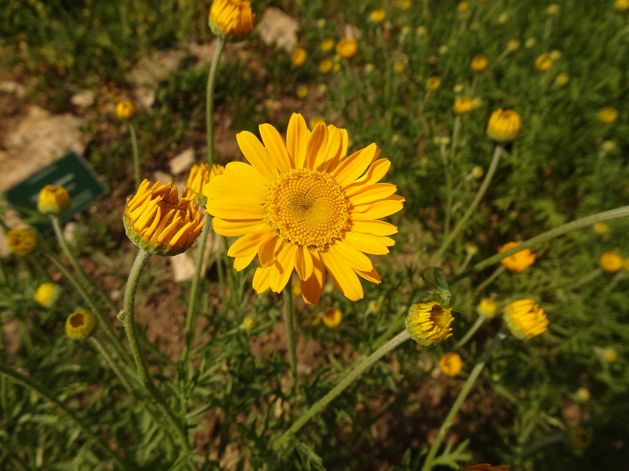 DSC03701