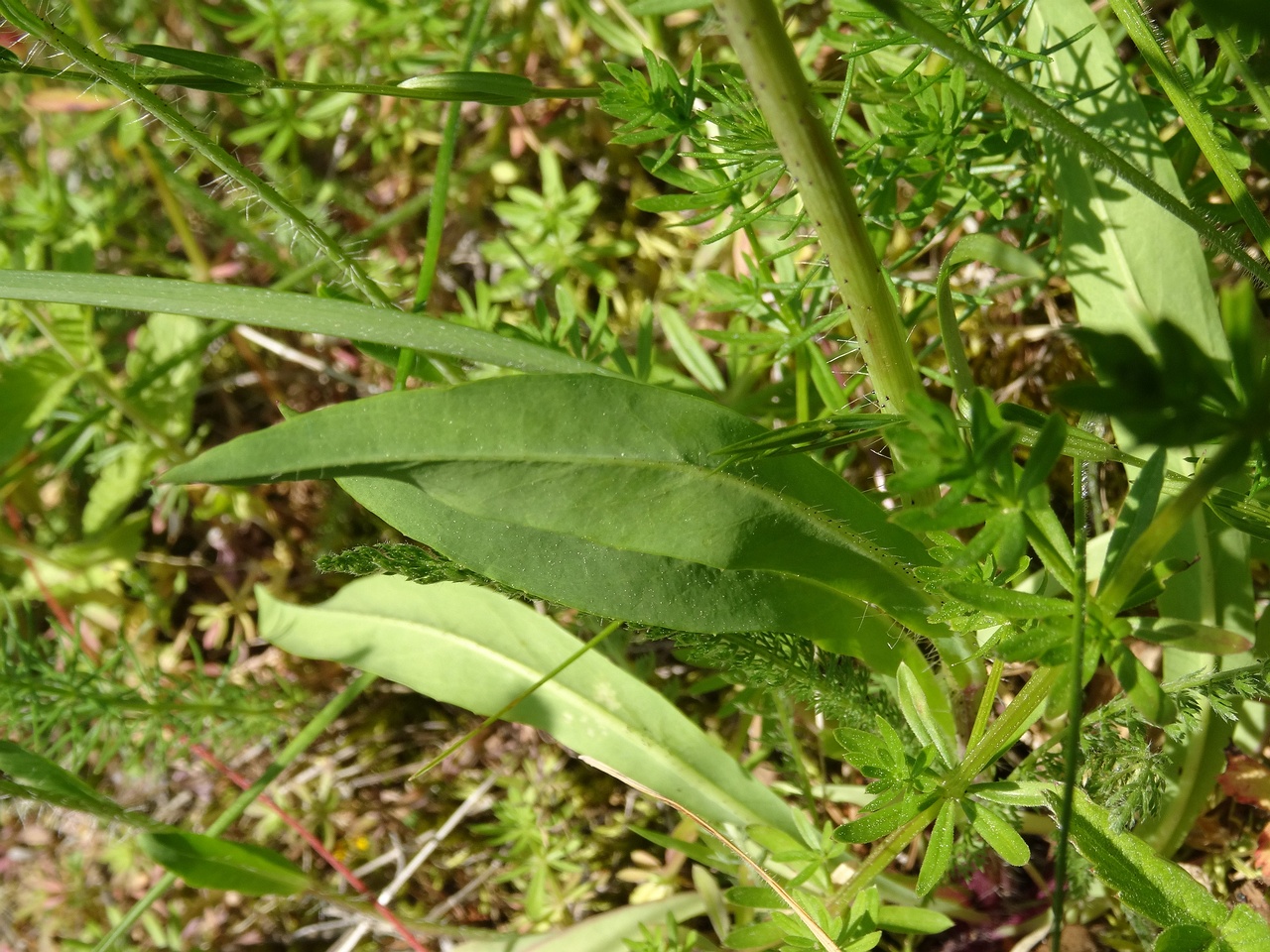 DSC03469