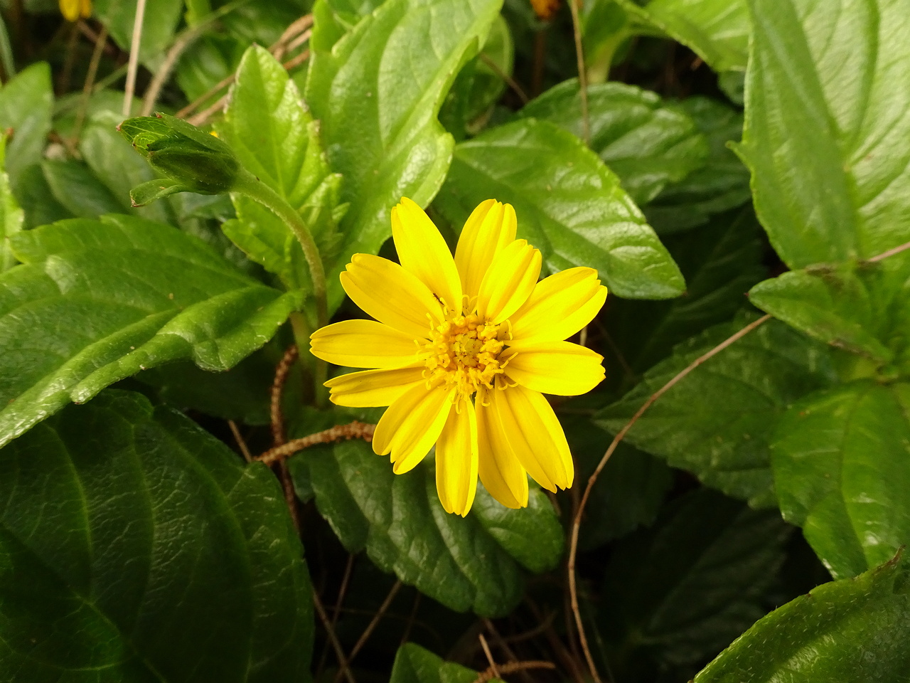 DSC07935