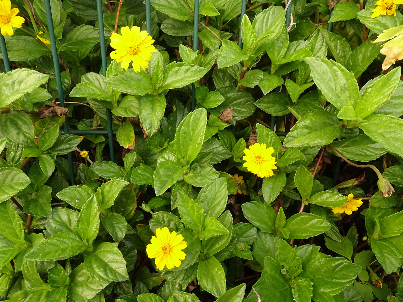 DSC07940