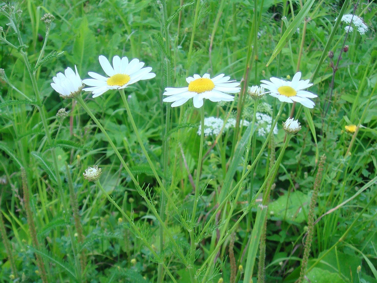 DSC03877
