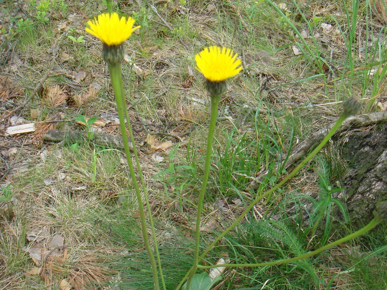 DSC00472