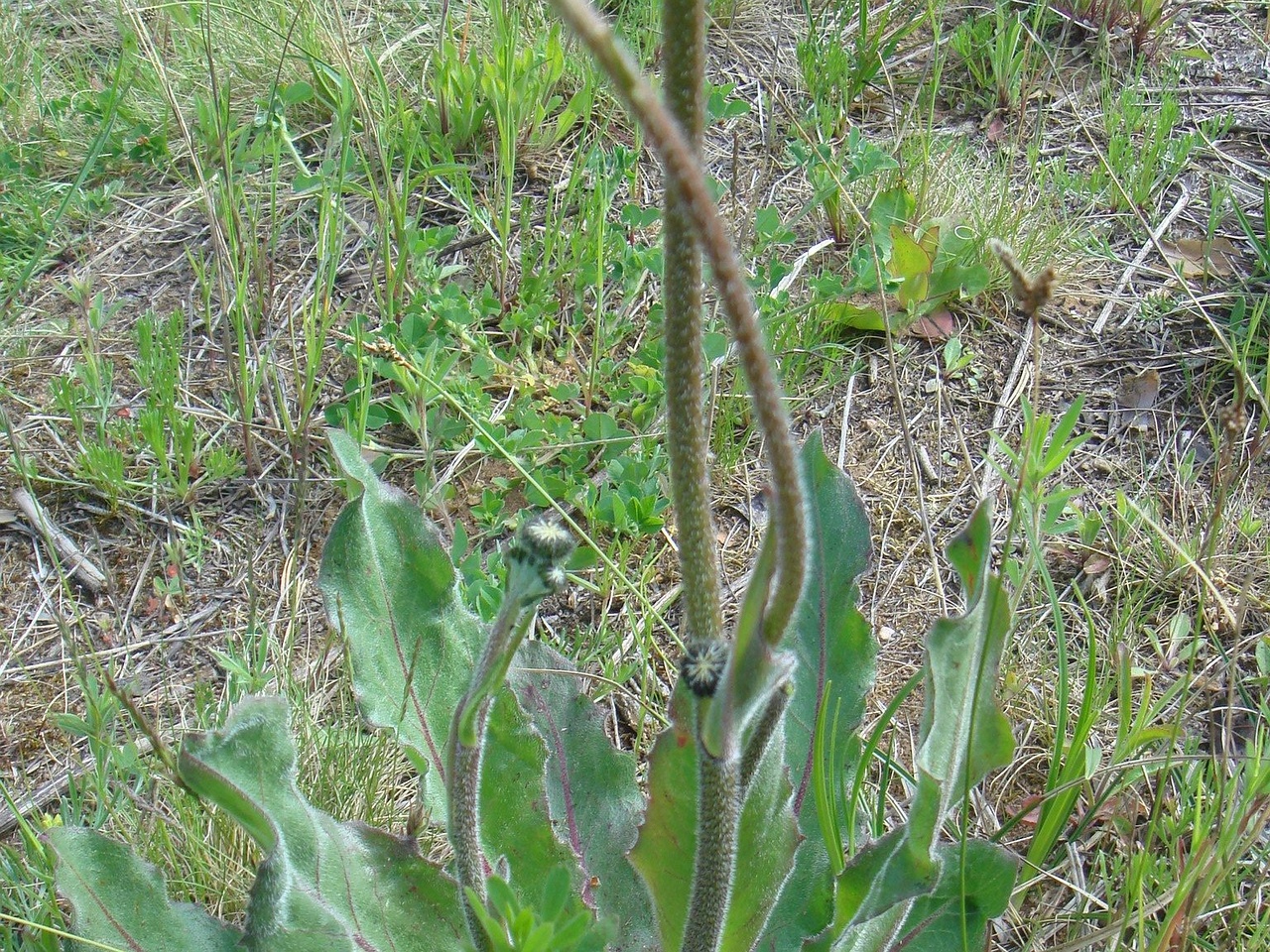 DSC01236