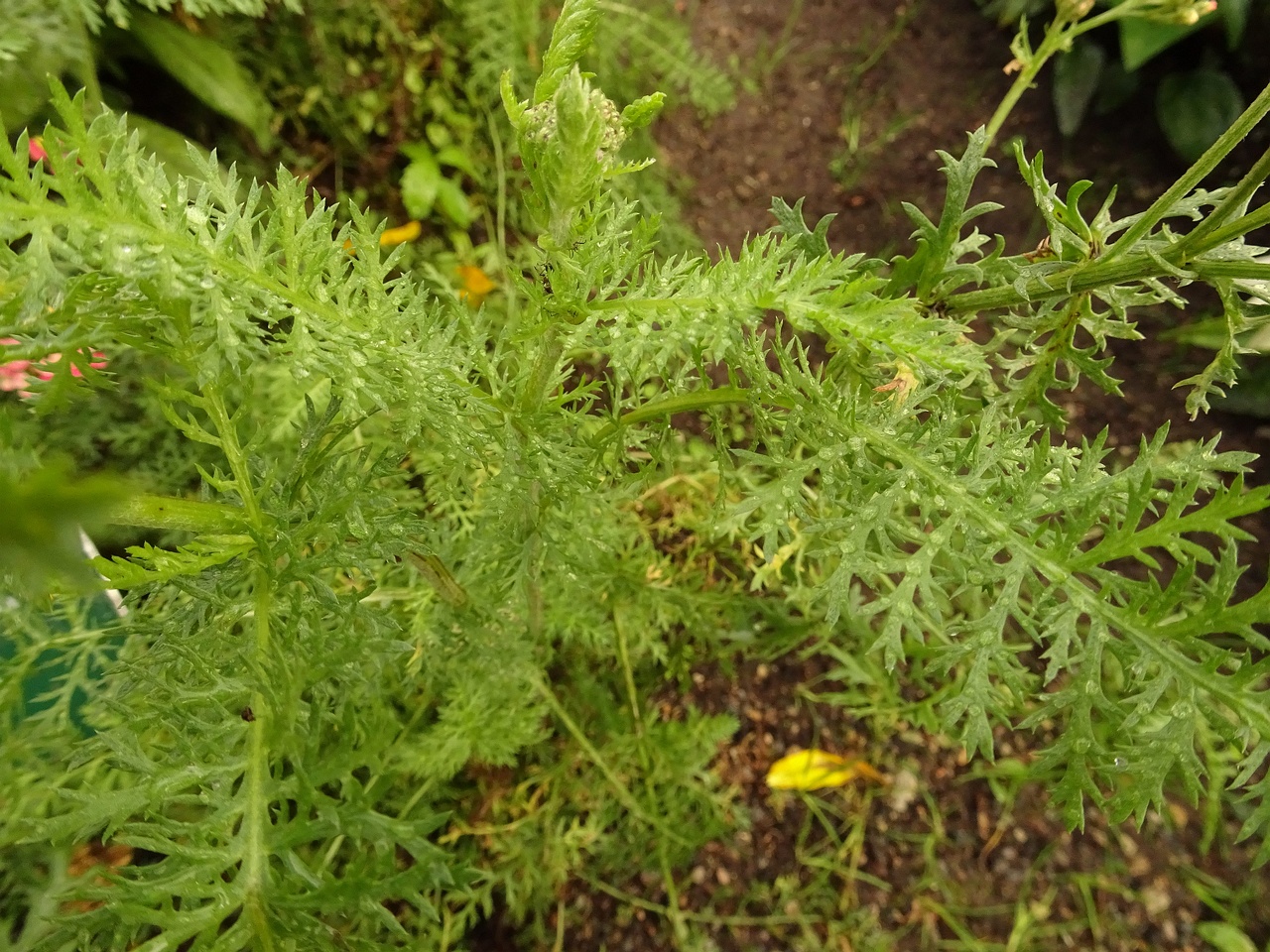 DSC04912