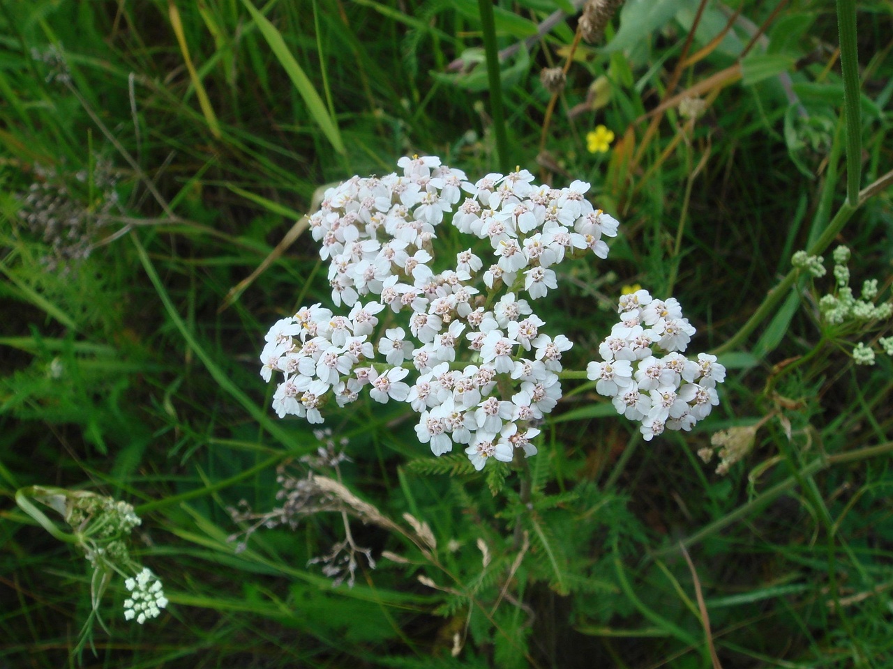 DSC03321
