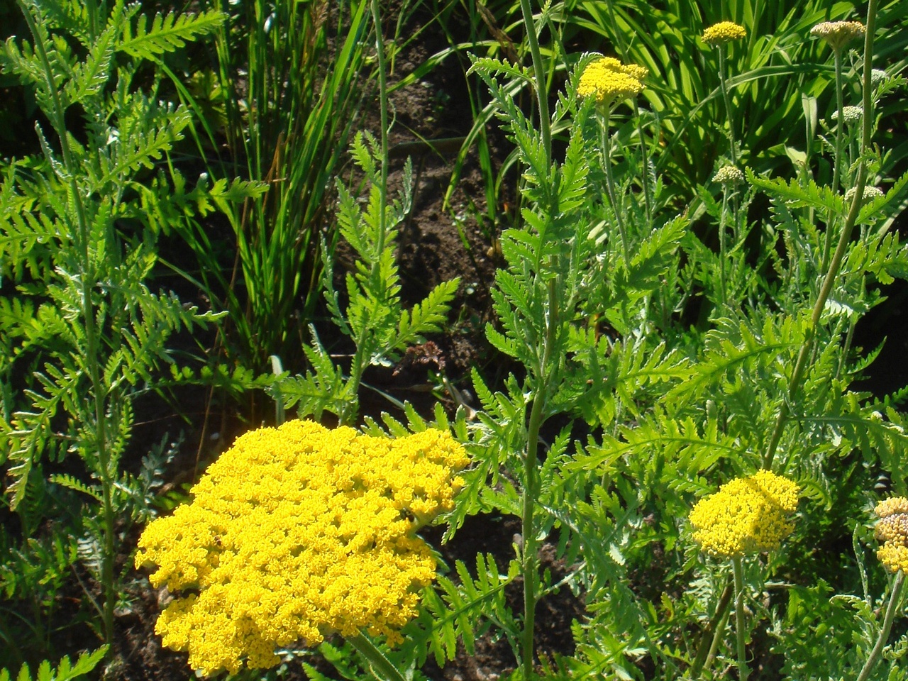 DSC01080
