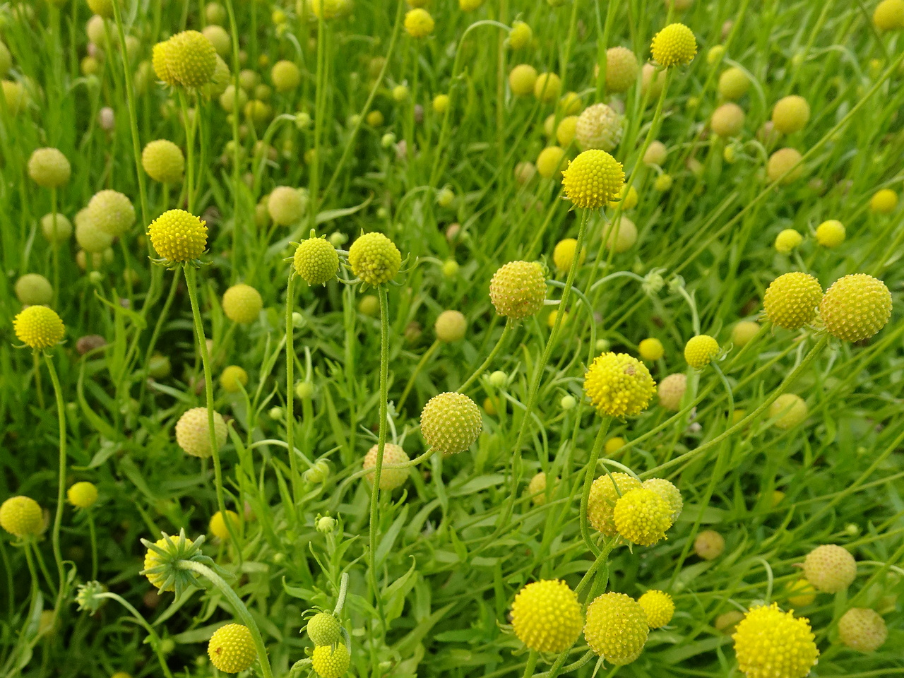 DSC05384