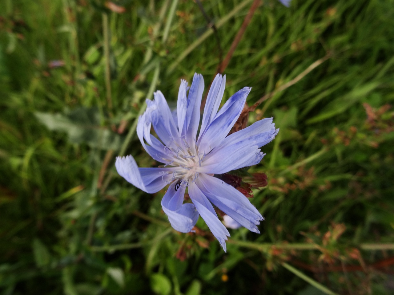 DSC02595