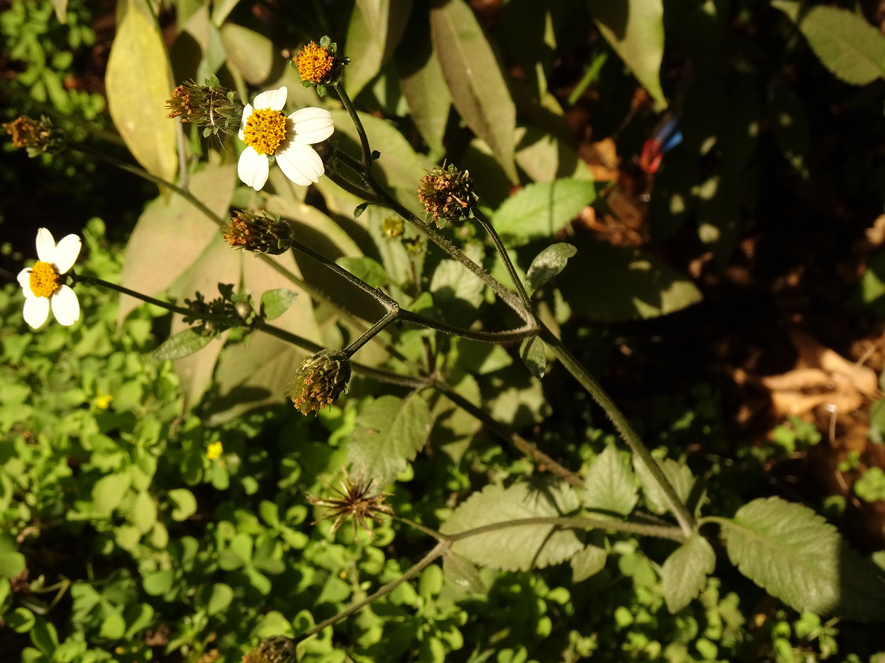 DSC05076