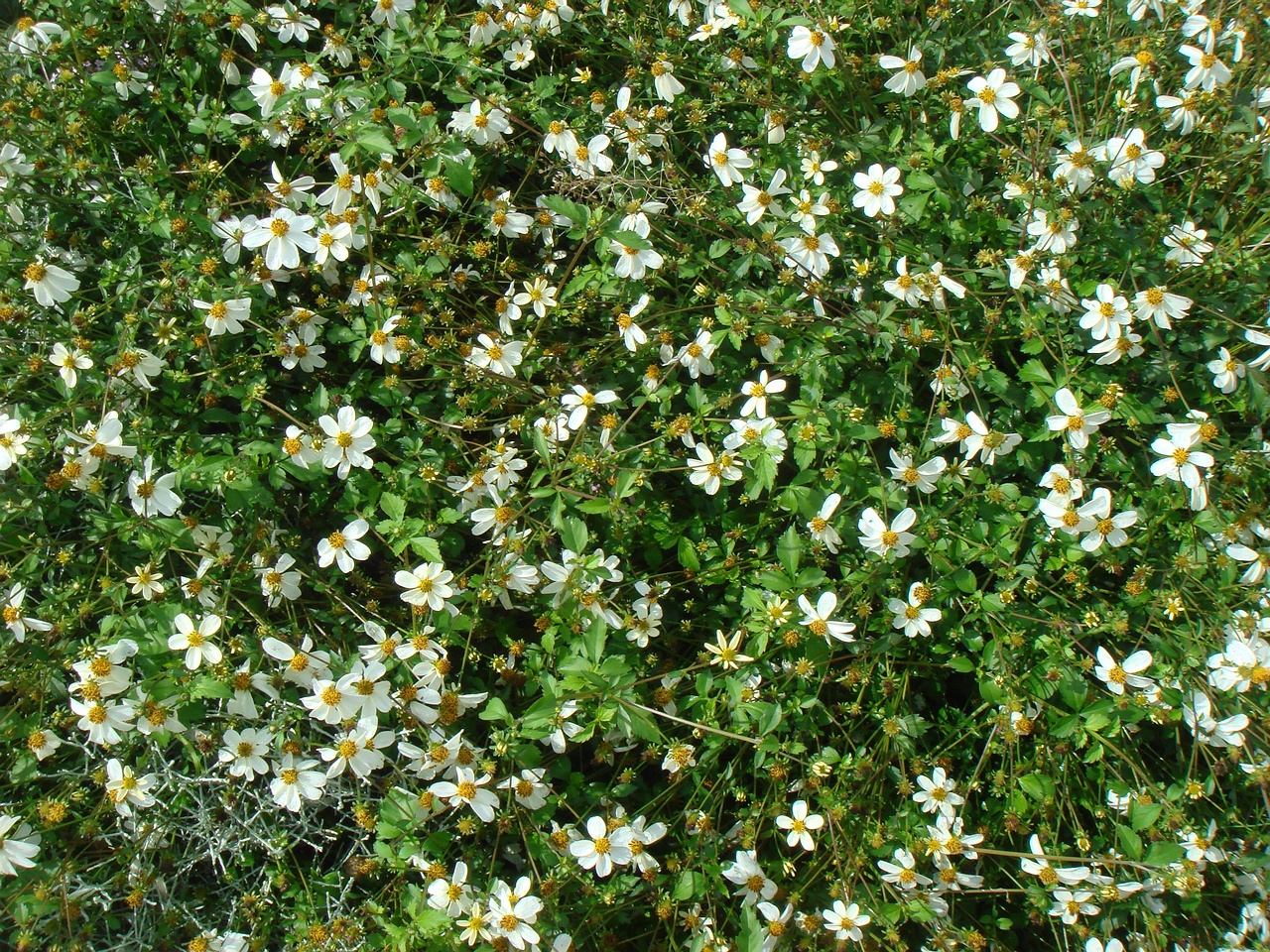DSC09821