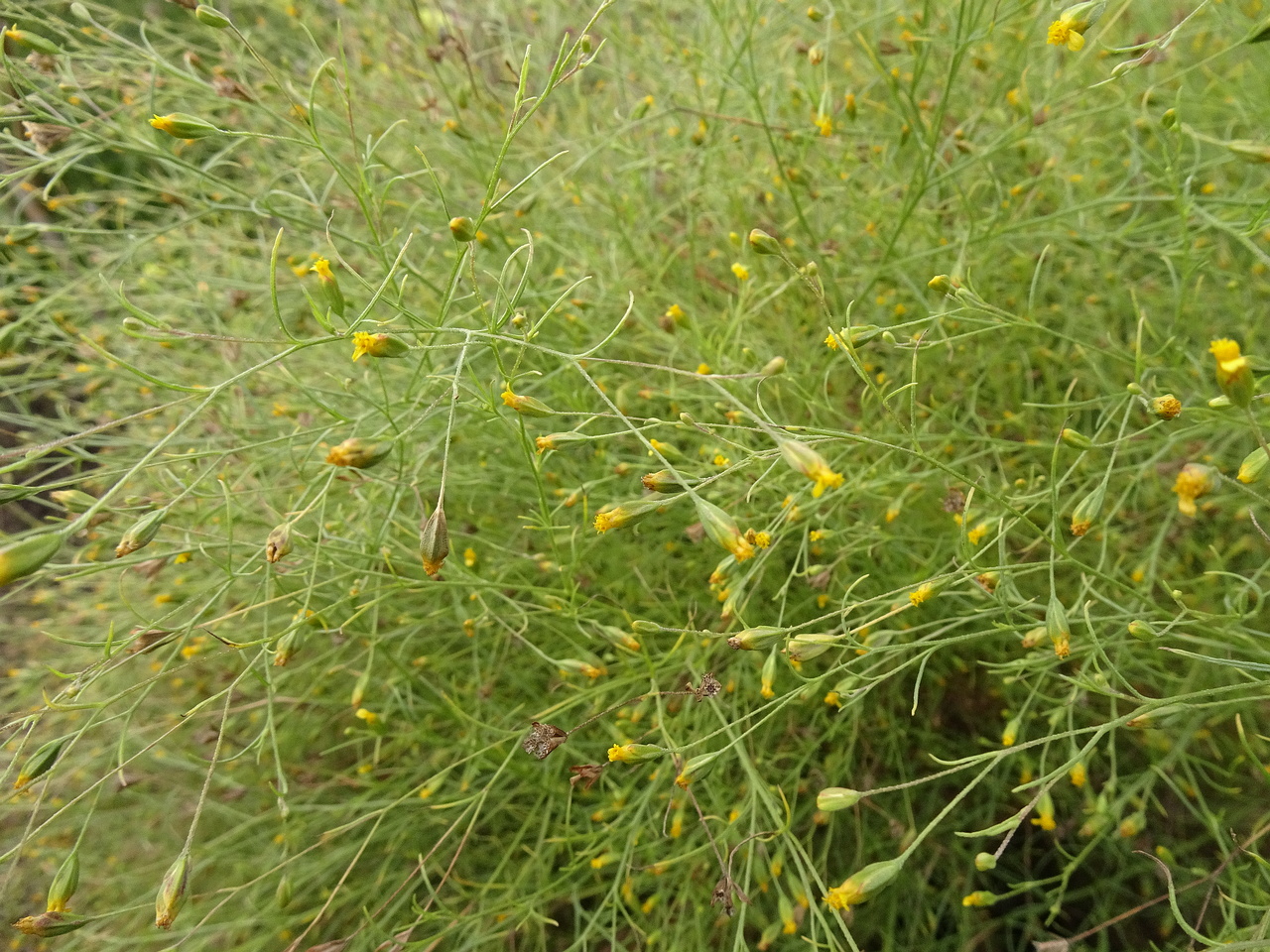 DSC01002