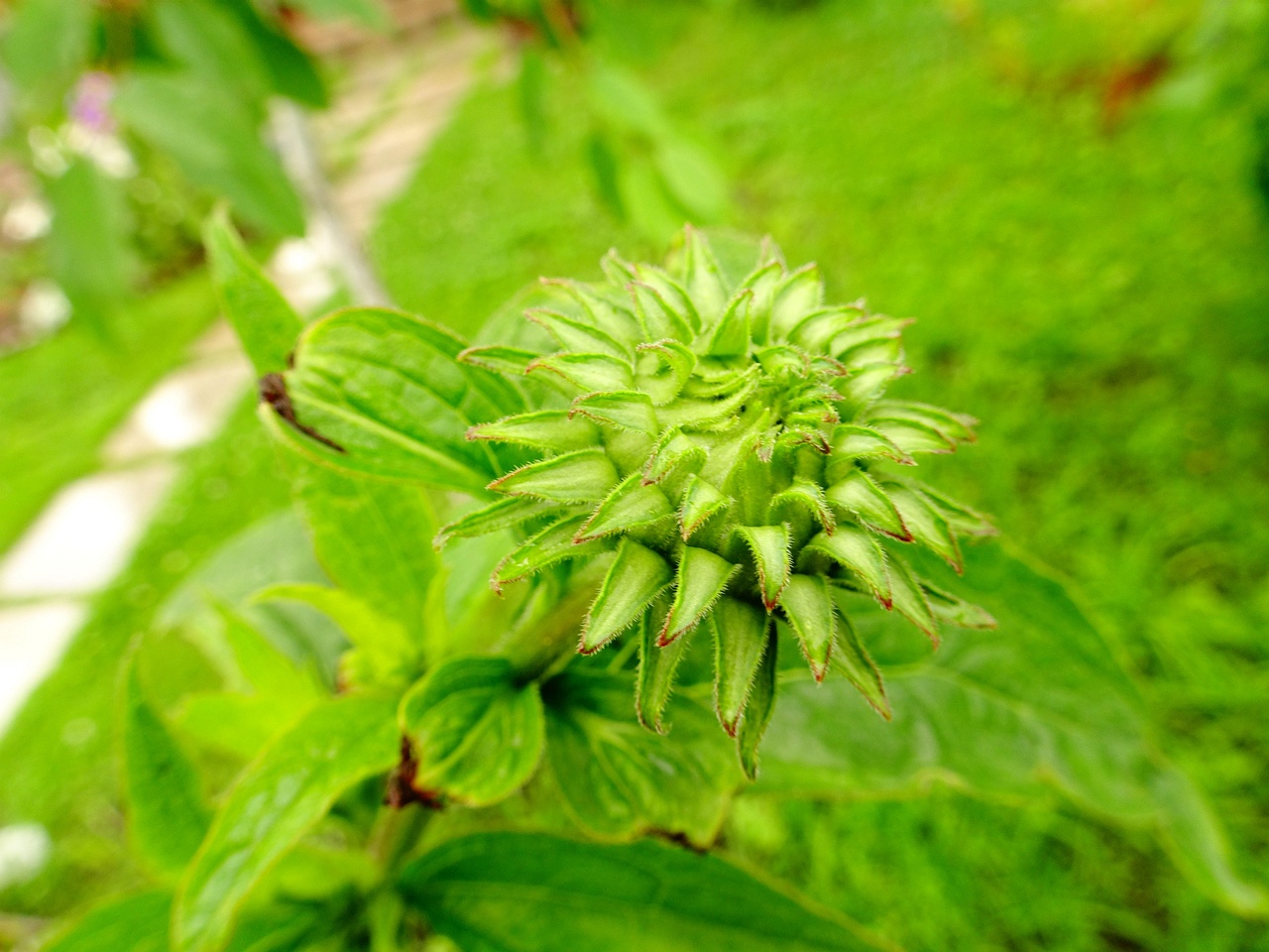 DSC00143