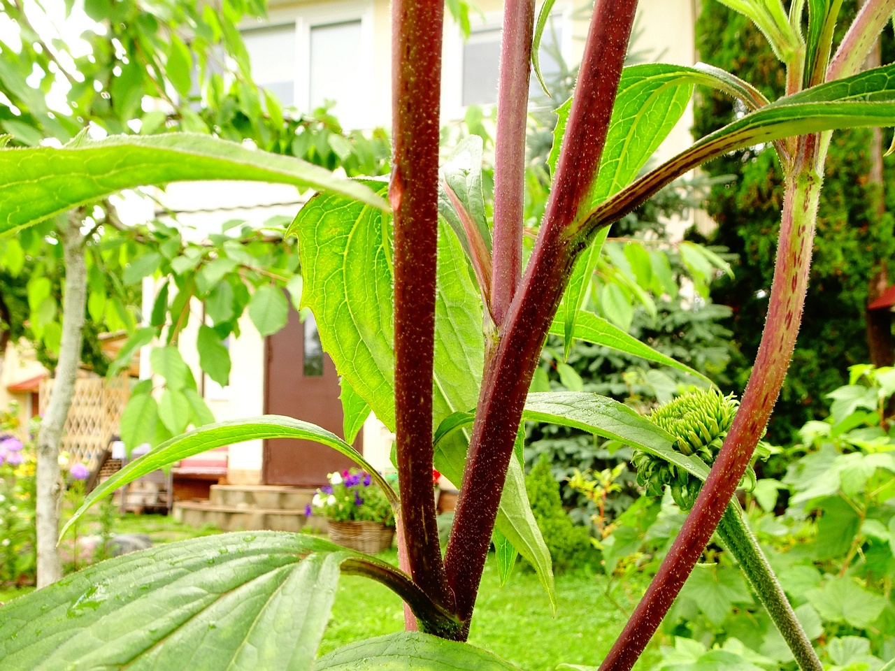 DSC00150