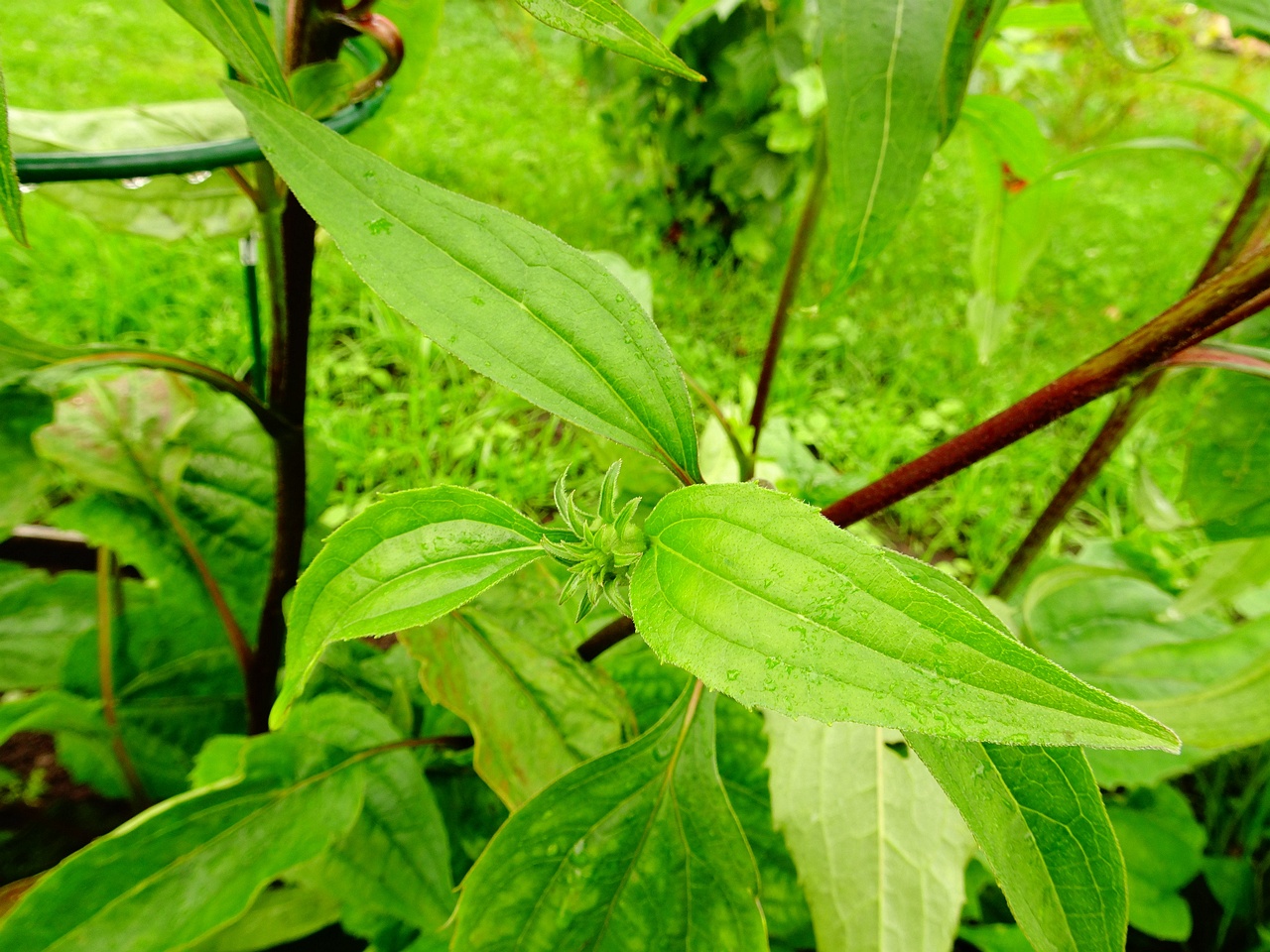 DSC00151