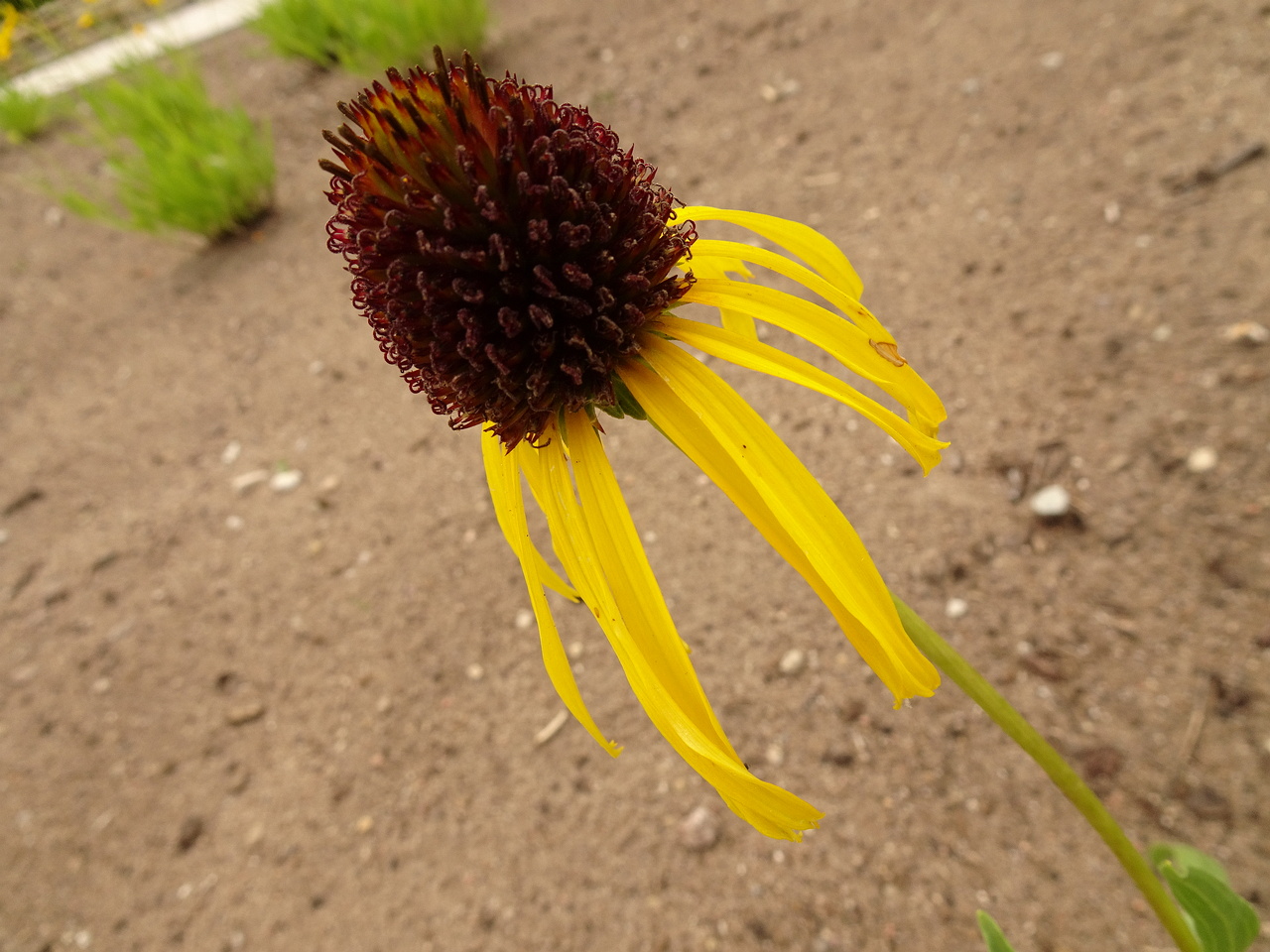 0DSC05089