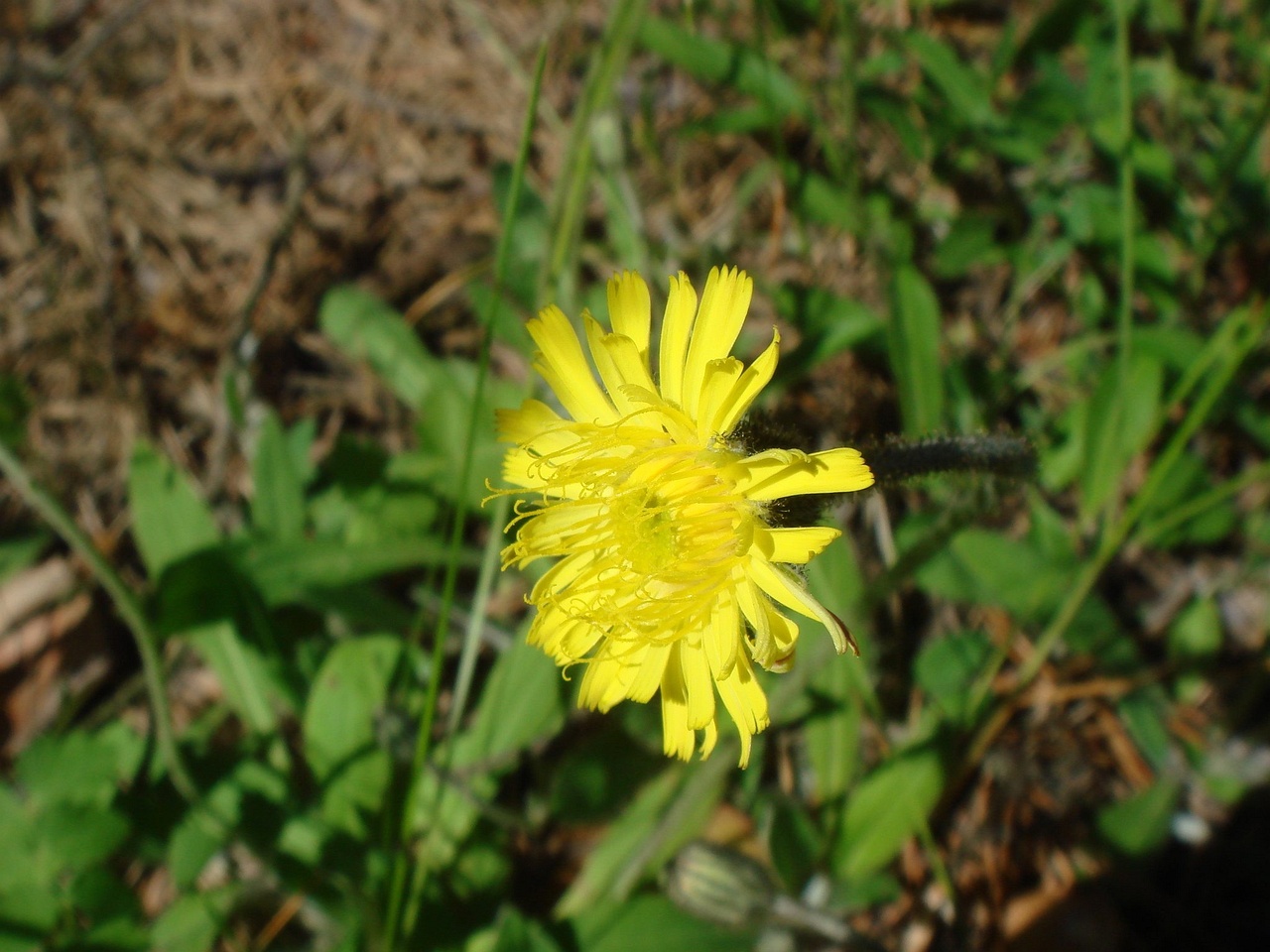 DSC01475