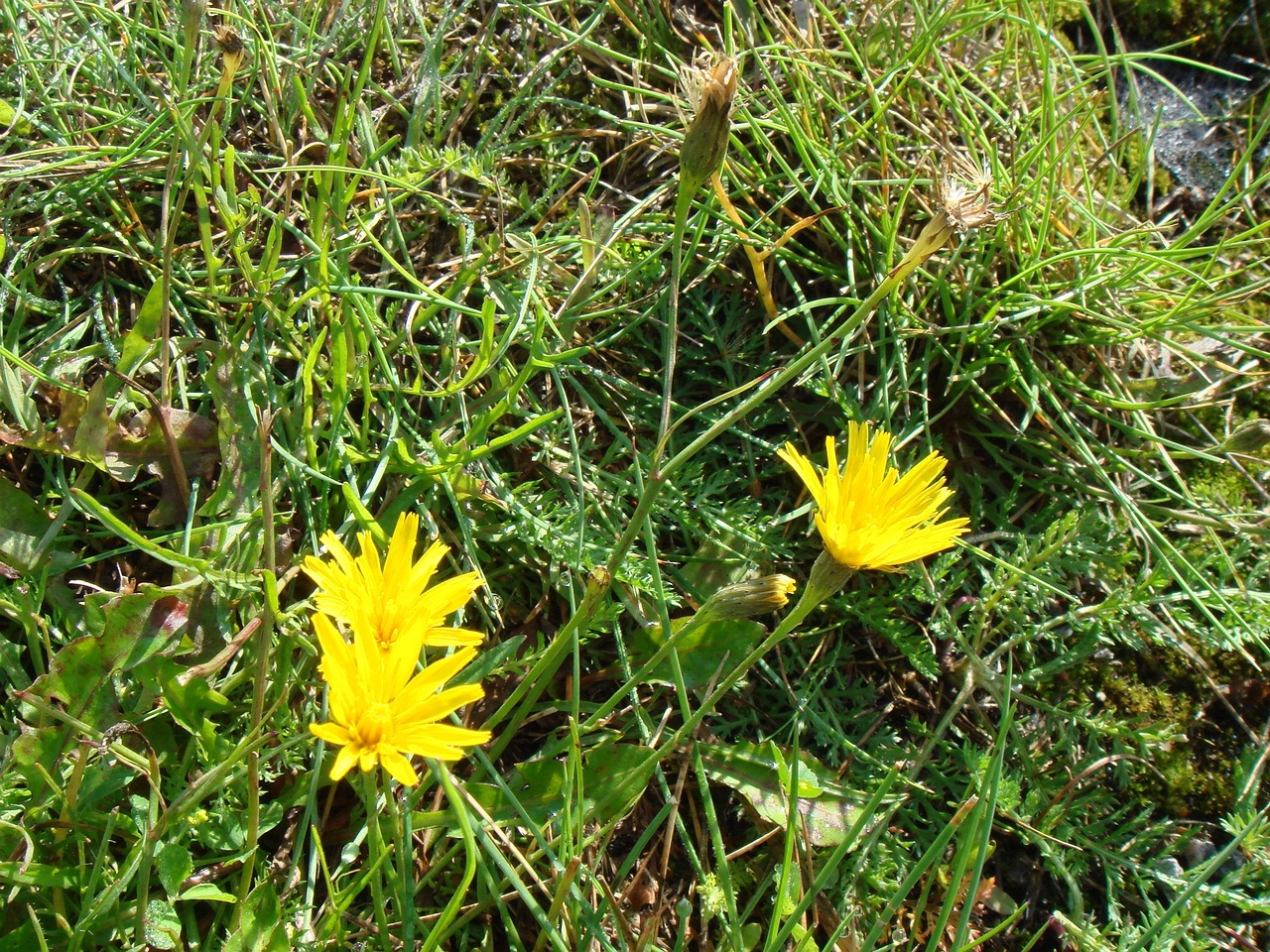 DSC09675