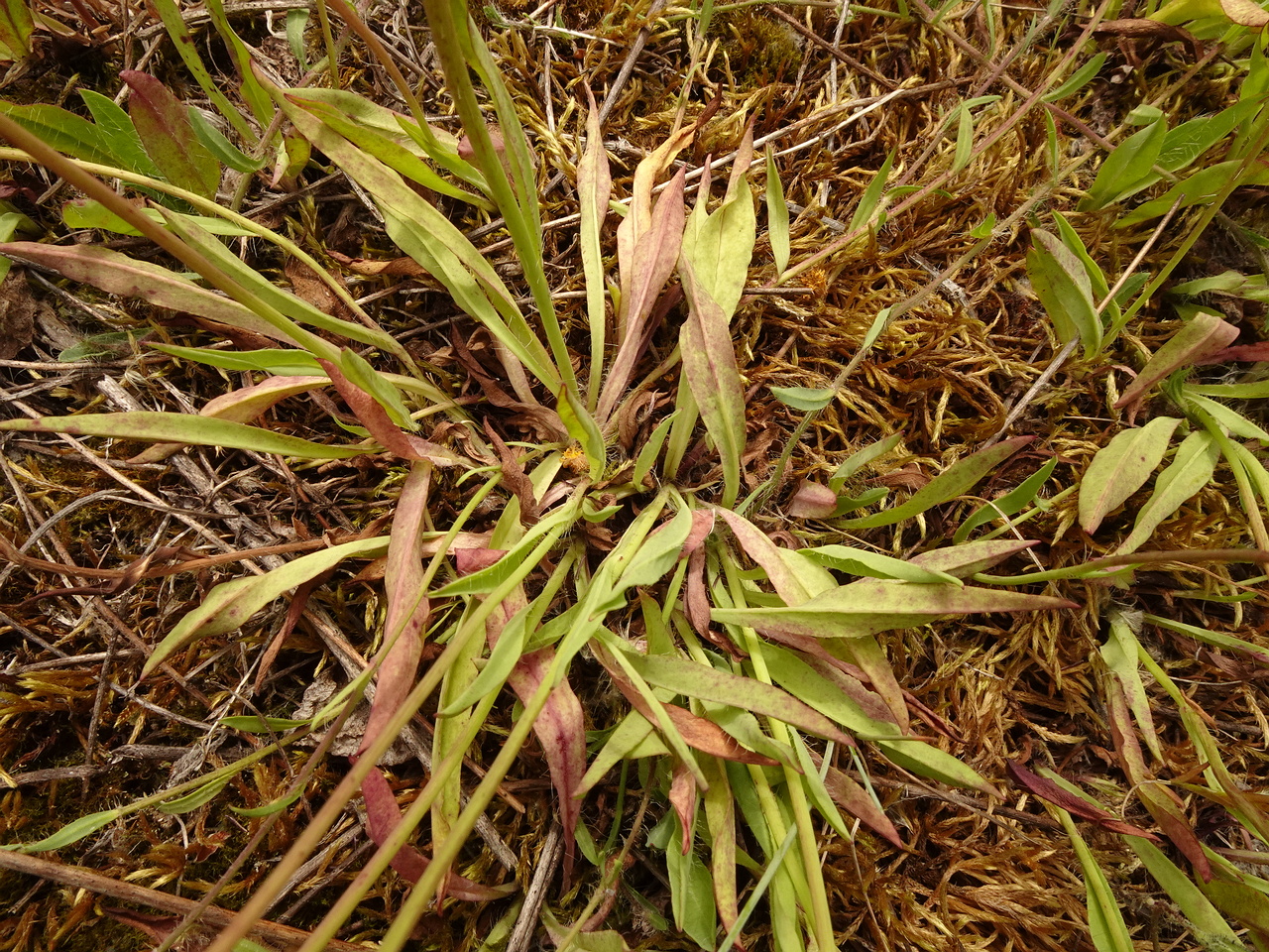 DSC03991