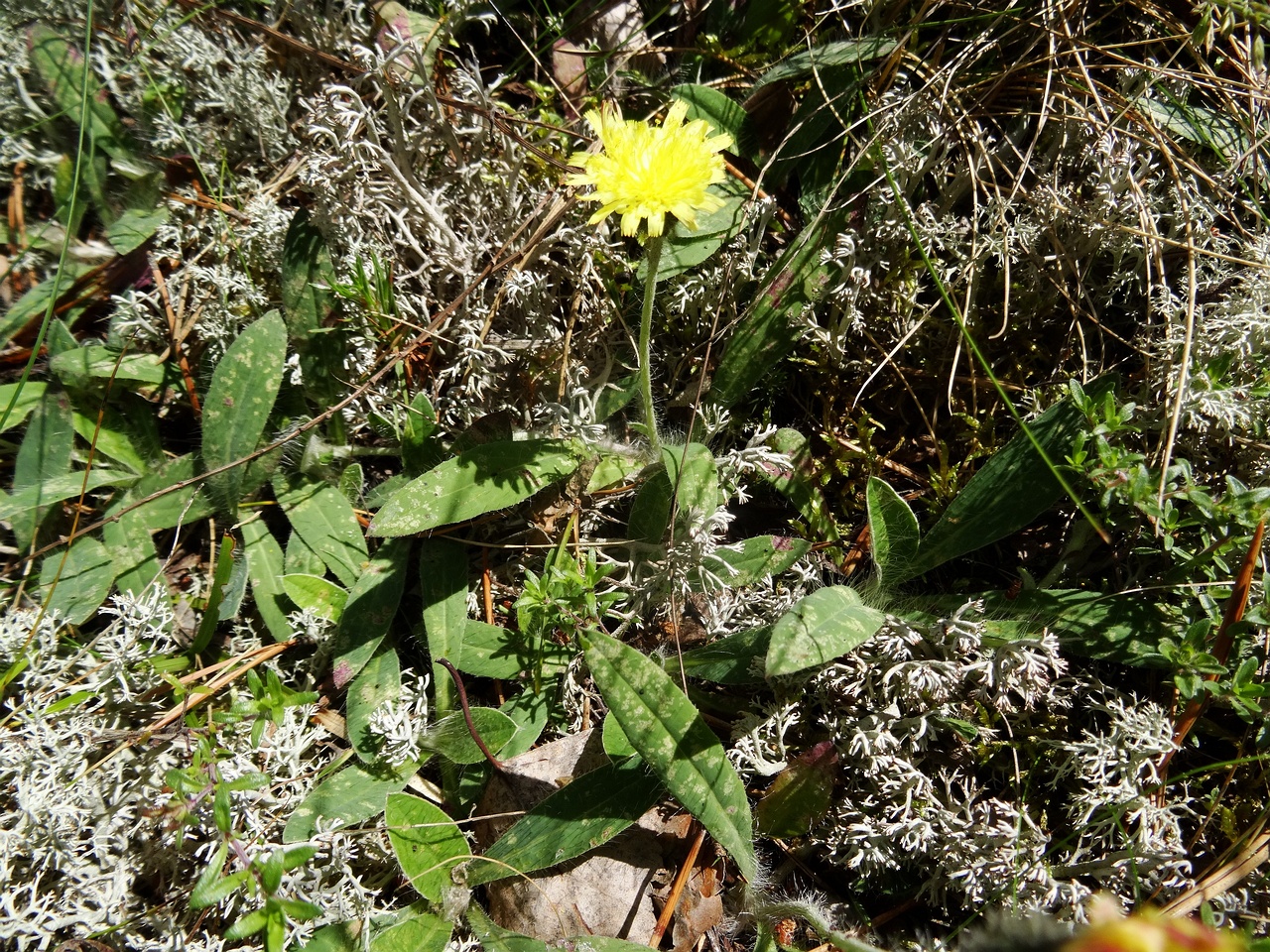 DSC00745