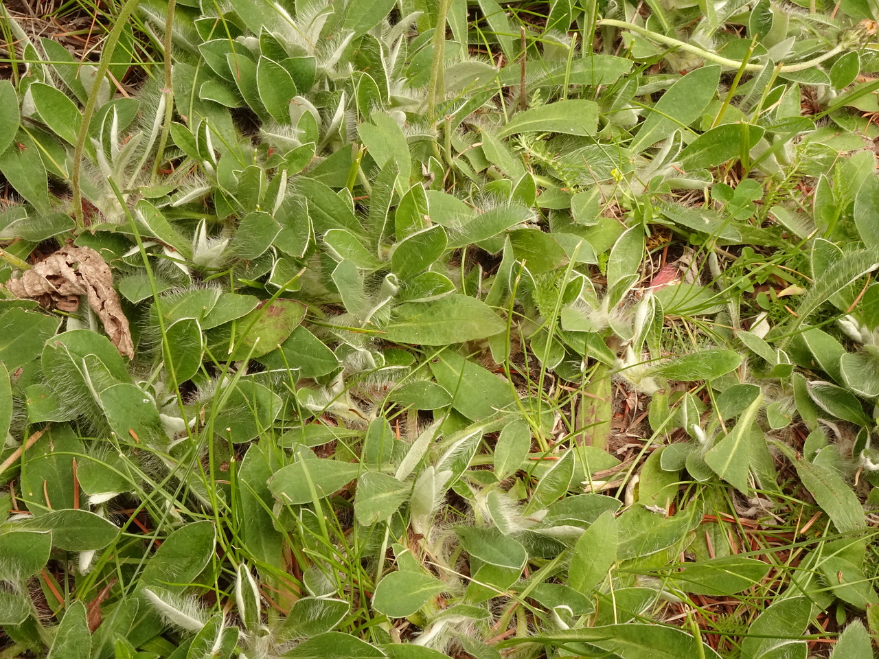 DSC03135