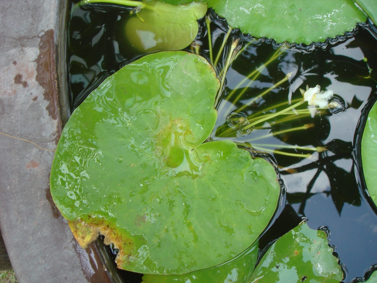 DSC04612