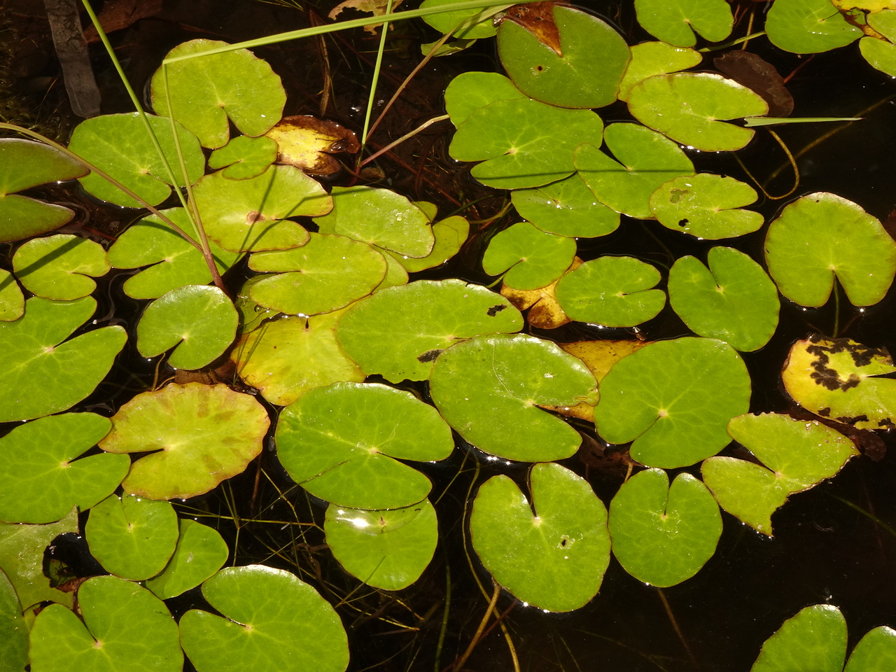 DSC02318