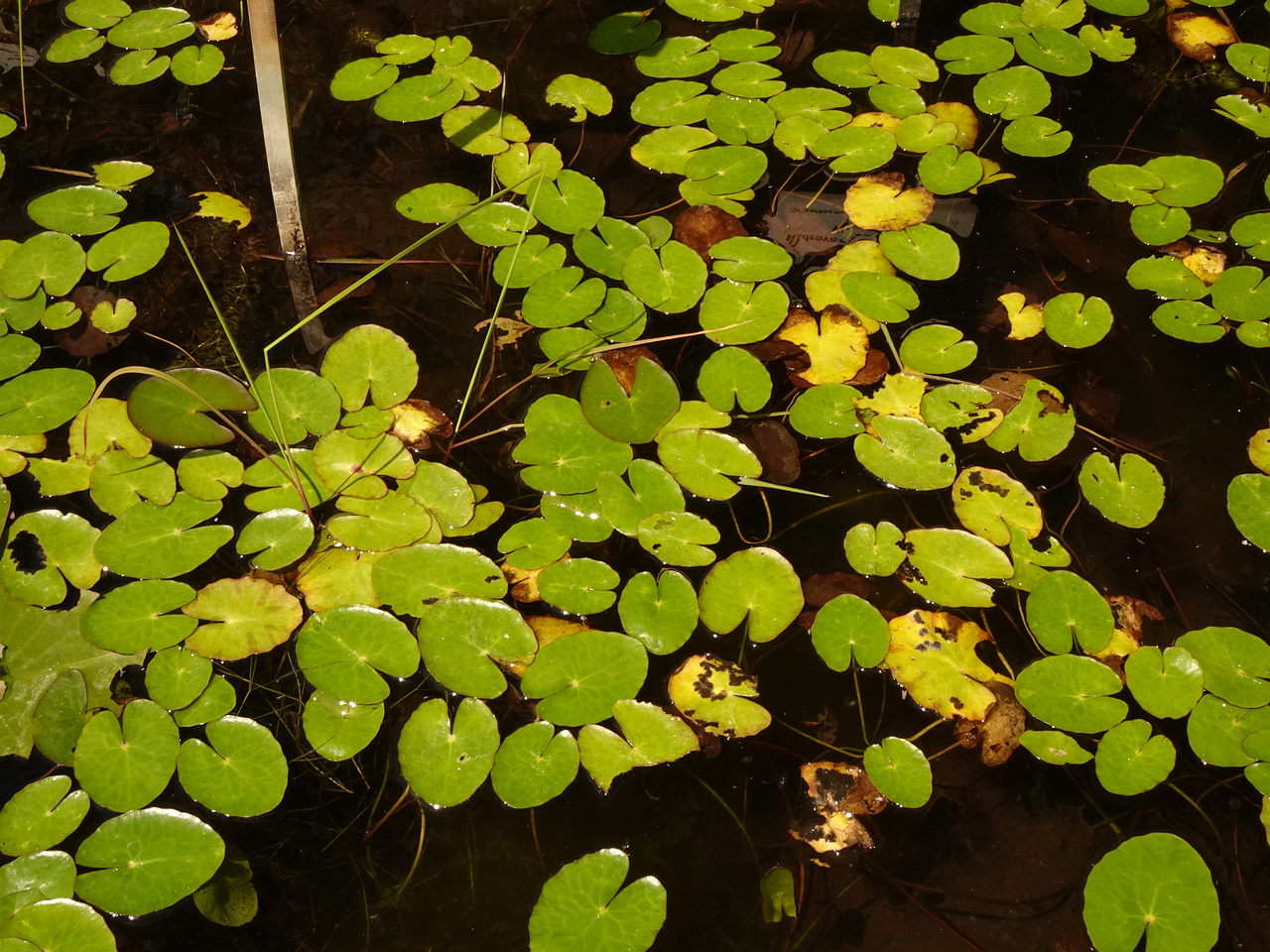 DSC02319
