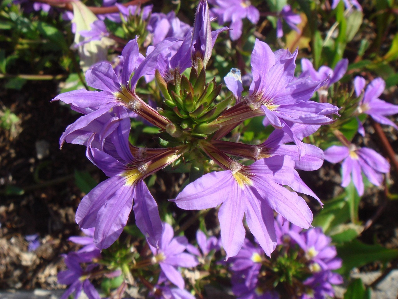 DSC03504