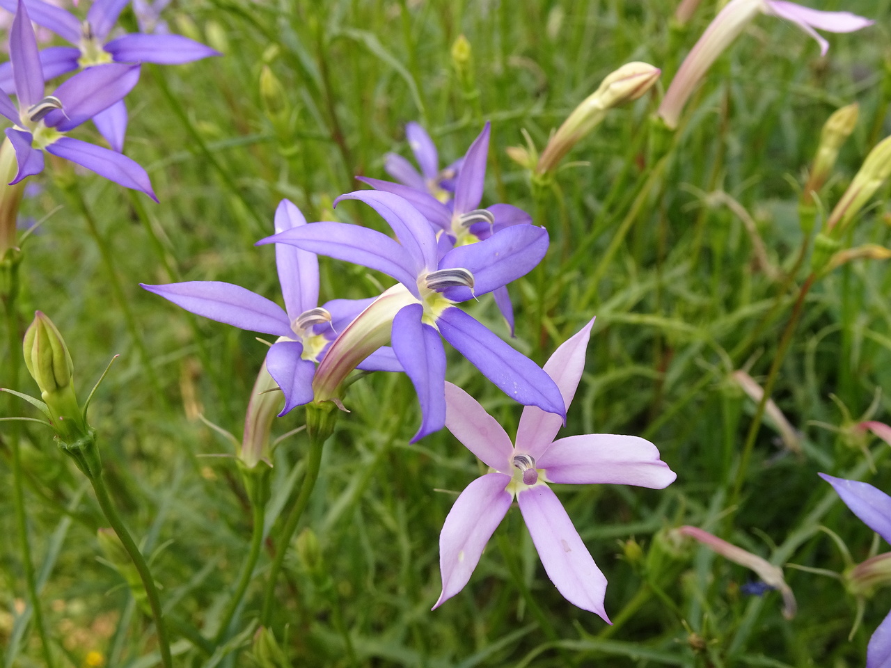 0DSC06431