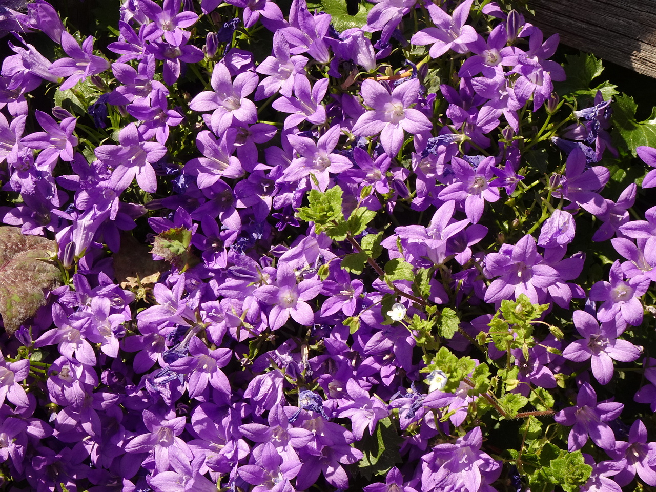 DSC01916