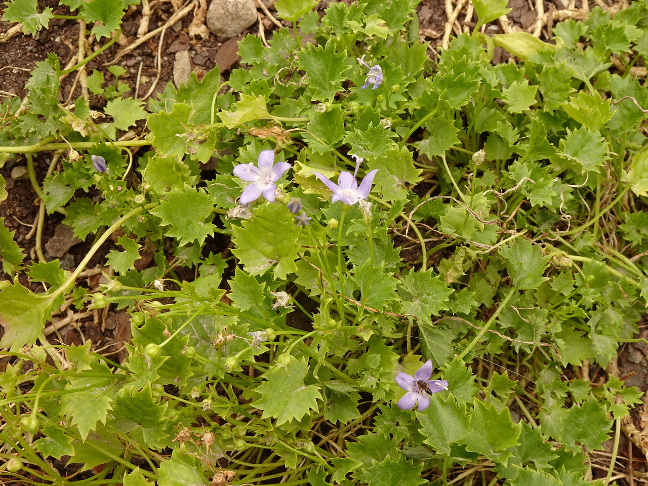 DSC04924