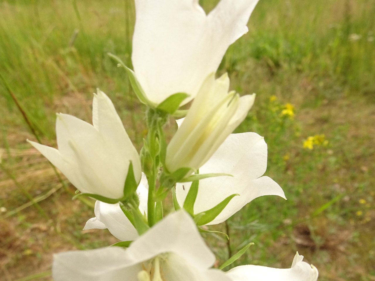 0DSC04575