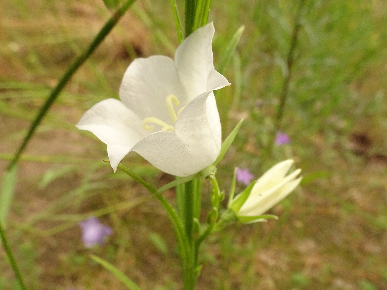 DSC04576