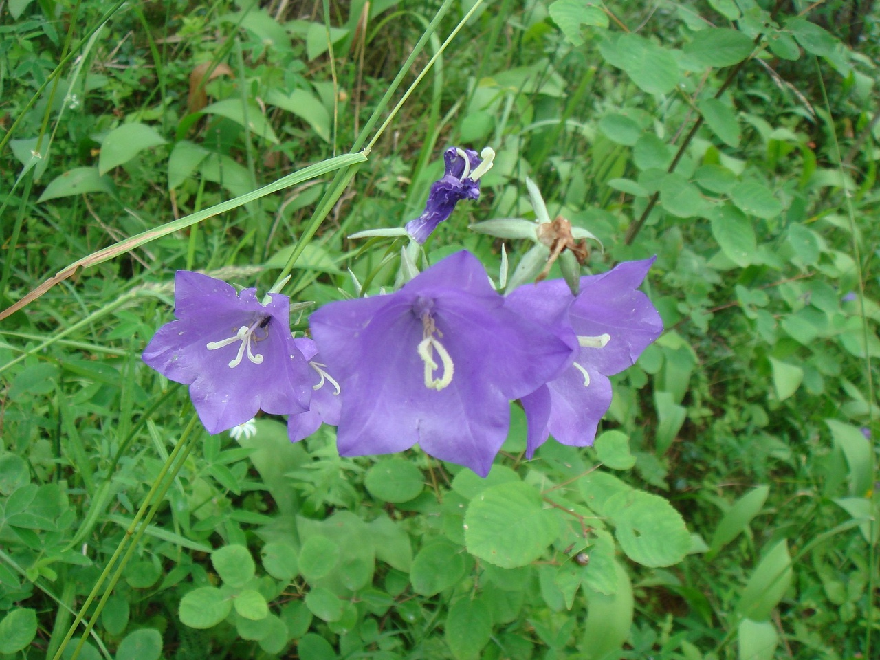 DSC01842
