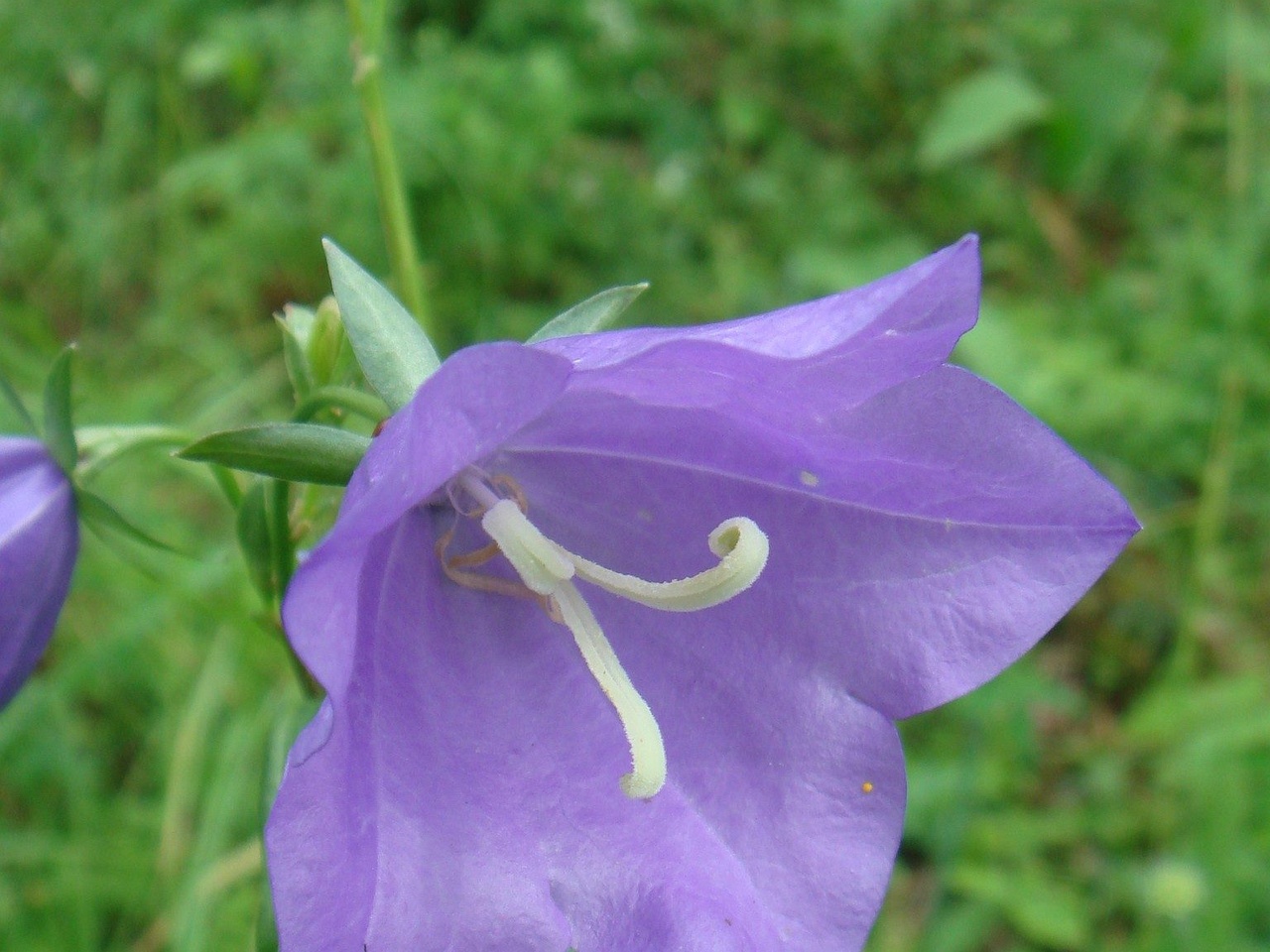 DSC01844