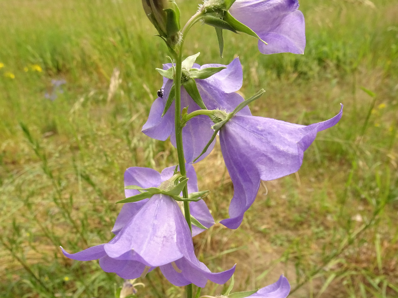 DSC04578