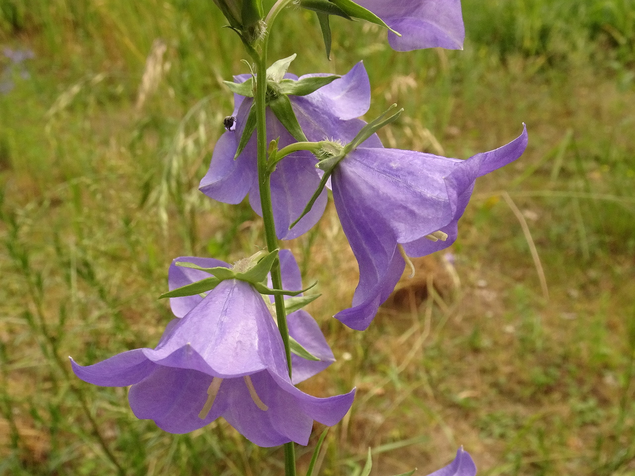 DSC04580