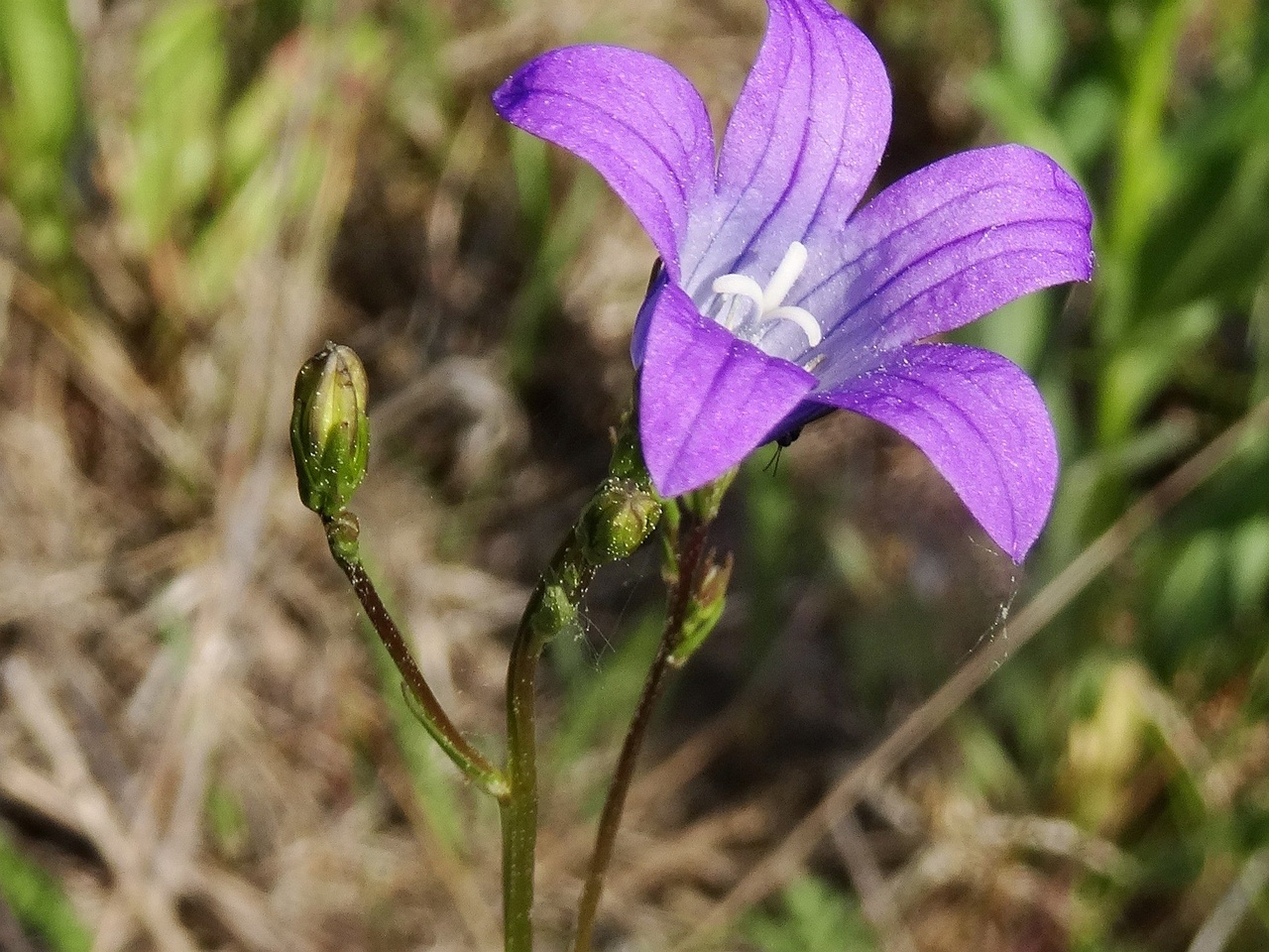 DSC00403_