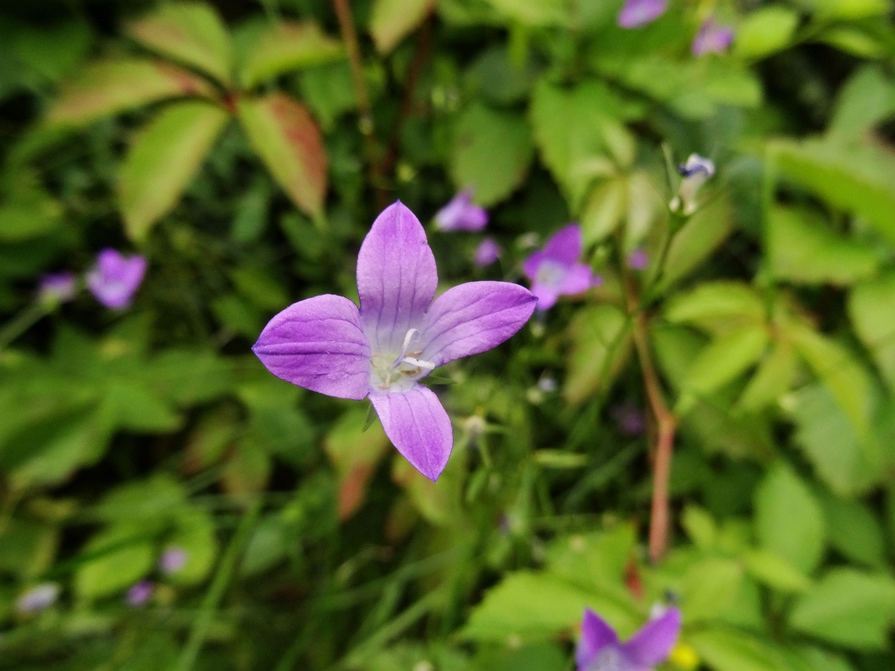 DSC01689