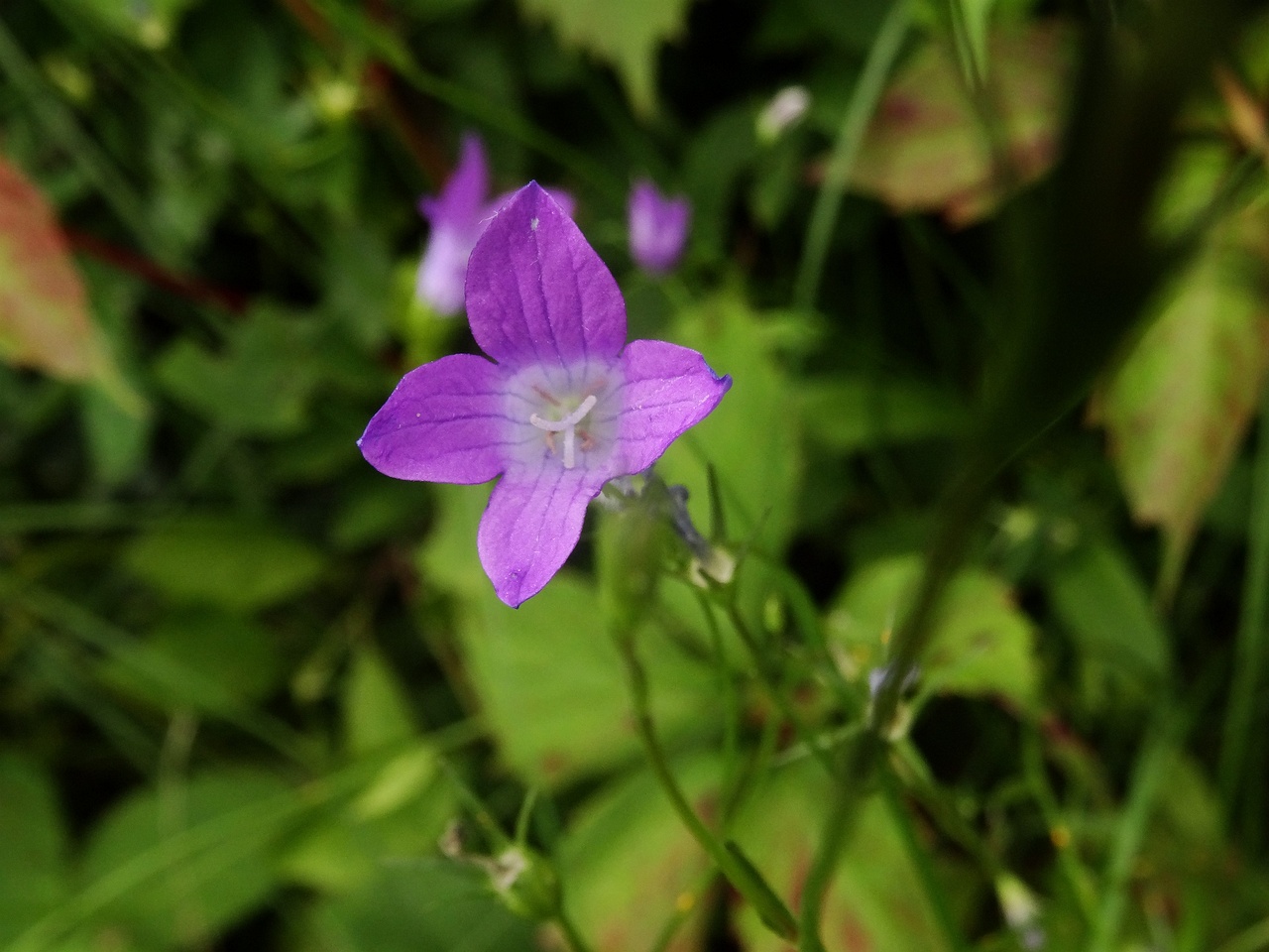DSC01690